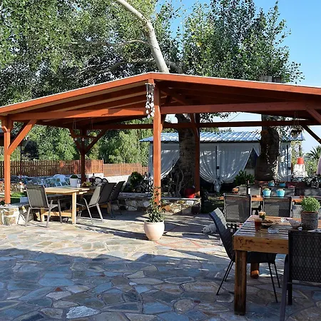 Nikiti Spathies - By Spathies Kalogria (Sithonia)